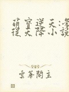 萌宝逆天:爹地从天降小说免费阅读
