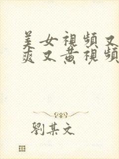 美女视频又粗又爽又黄视频