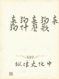 来狗来狗来来来狗什么歌