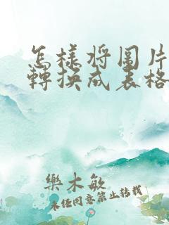 怎样将图片文字转换成表格
