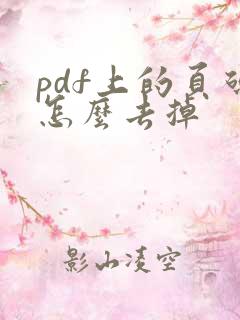pdf上的页码怎么去掉