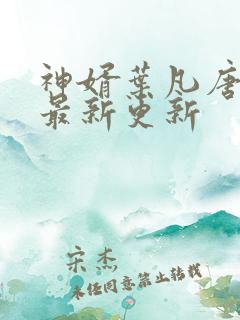 神婿叶凡唐若雪最新更新