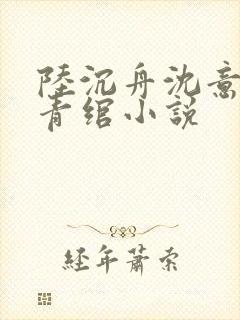 陆沉舟沈意欢林青绾小说