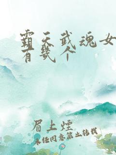 霸天武魂女主角有几个