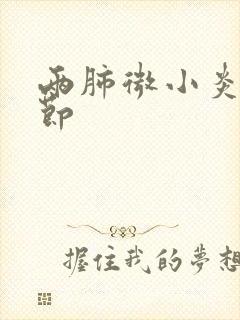 两肺微小炎性结节