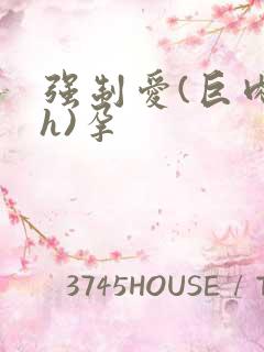 强制爱(巨肉高h)孕