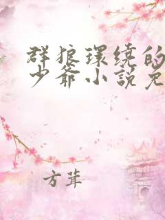 群狼环绕的黑道少爷小说免费阅读