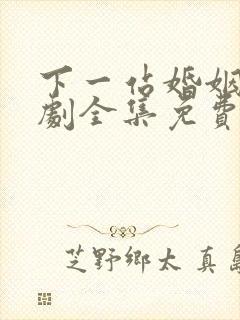 下一站婚姻电视剧全集免费播放