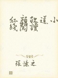 红颜政道小说在线阅读