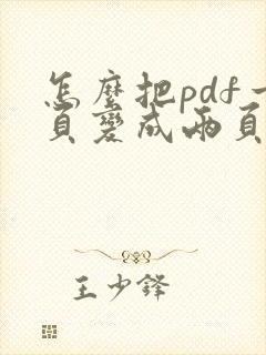 怎么把pdf一页变成两页