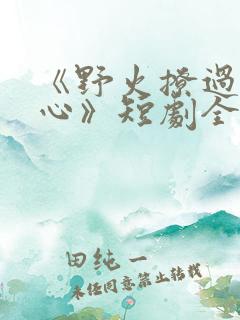 《野火撩过姐姐心》短剧全集免费观