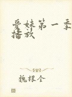 爱妹第一季免费播放