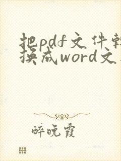 把pdf文件转换成word文档