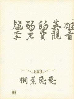 脆弱的英雄第二季免费观看完整版