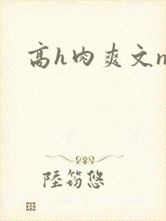 高h肉爽文np