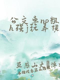 公交车np粗暴h强j玩弄视频