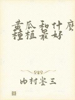 黄瓜和什么一起种植最好