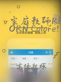 家庭教师REBORN Colore! 画集：结局+番外