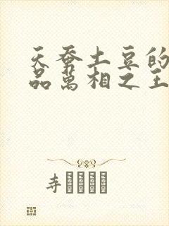 天蚕土豆的新作品万相之王