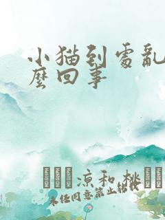 小猫到处乱尿怎么回事
