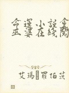 命运小说会飞的巫婆在线阅读