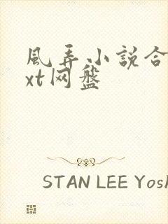 风弄小说合集txt网盘