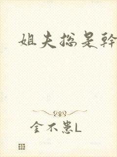 姐夫总是干我
