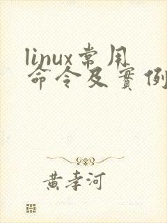 linux常用命令及实例