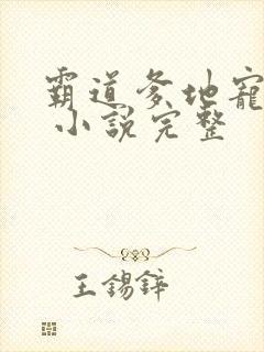 霸道爹地宠又撩 小说完整