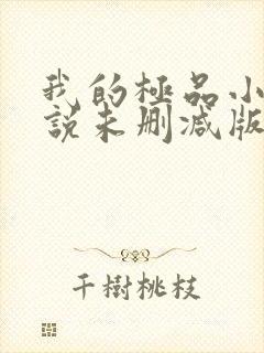 我的极品小姨小说未删减版