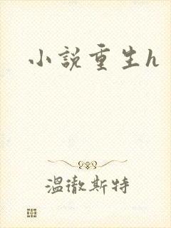 小说重生h