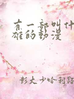有一部叫什么英雄的动漫