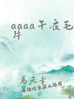 aaaa午夜毛片