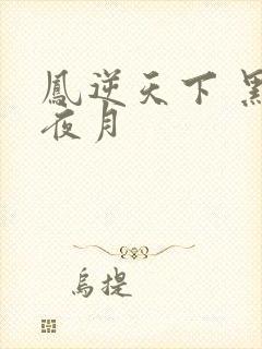凤逆天下 黑羽夜月