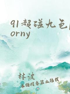 91超碰九色porny