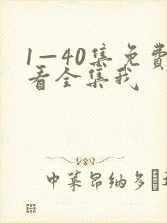 1—40集免费看全集我