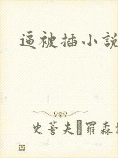 逼被插小说