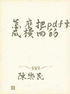 怎么把pdf转成横向的