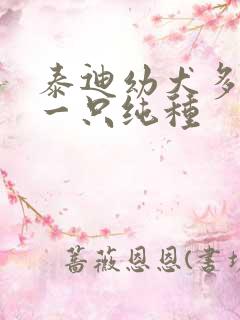 泰迪幼犬多少钱一只纯种