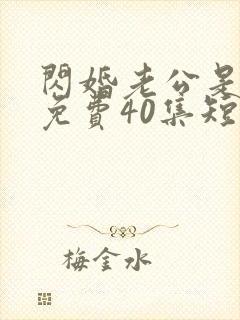 闪婚老公是豪门免费40集短剧