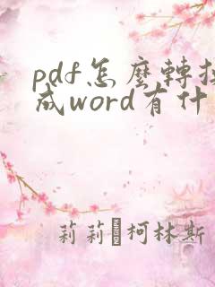 pdf怎么转换成word有什么软件