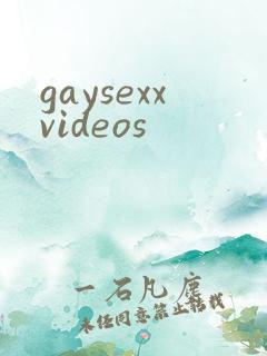 gaysexxvideos