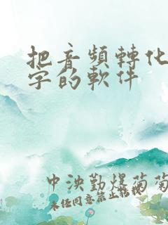 把音频转化为文字的软件