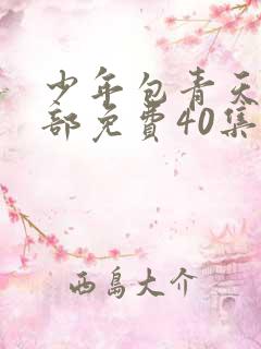 少年包青天第一部免费40集