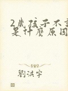 2岁孩子不说话是什么原因引起的