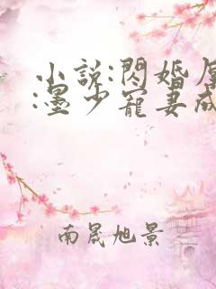 小说:闪婚厚爱:墨少宠妻成瘾