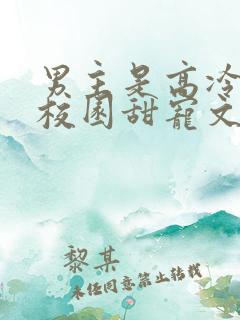 男主是高冷校草校园甜宠文