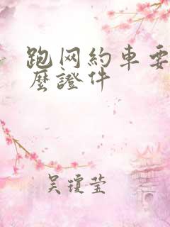 跑网约车要些什么证件