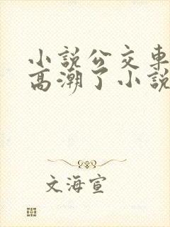 小说公交车被上高潮了小说