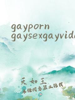 gayporngaysexgayvideos